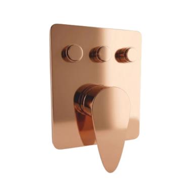 ROSE GOLD 580333K