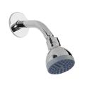 Shower with Seamless Shower Arm with Flange (Continental)